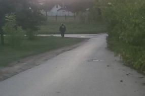 Feketićka ulica (zarastao put)