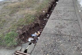 Mali Bajmok zatrpan smećem