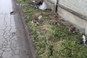 Mali Bajmok zatrpan smećem
