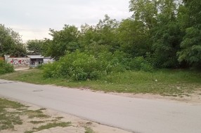 Rastinje višegodišnji problem (Šabačka ulica)