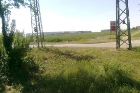"Košenje" korova u Subotica