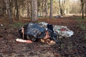 Bačeni leševi životinja u Kelebijskoj šumi
