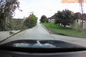 Divlje rastinje pored puta (Verušićkа ulicа)
