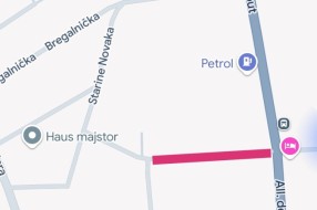 Divlje rastinje pored puta (Verušićkа ulicа)