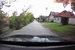 Divlje rastinje pored puta (Verušićkа ulicа)