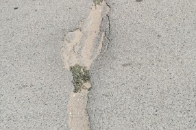 Problemi u Vrbaškoj ulici