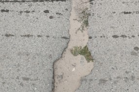 Problemi u Vrbaškoj ulici
