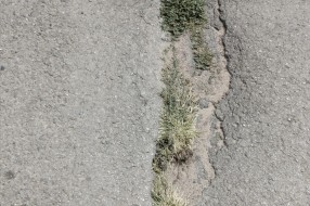 Problemi u Vrbaškoj ulici