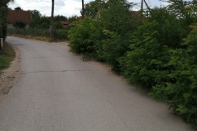 Problemi u Vrbaškoj ulici