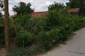 Problemi u Vrbaškoj ulici