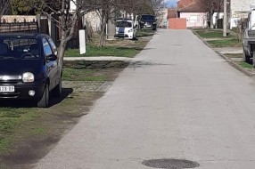 Opasni psi terorišu decu i stanovnike Ulice braće Milašin