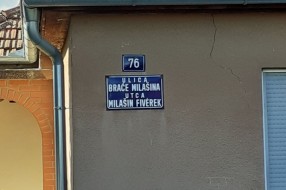 Opasni psi terorišu decu i stanovnike Ulice braće Milašin
