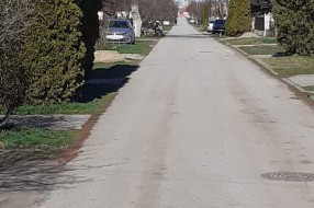 Opasni psi terorišu decu i stanovnike Ulice braće Milašin