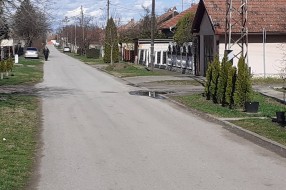 Opasni psi terorišu decu i stanovnike Ulice braće Milašin