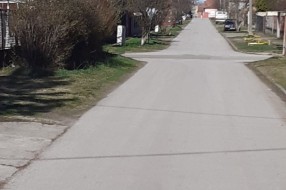 Opasni psi terorišu decu i stanovnike Ulice braće Milašin