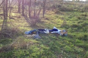 Migranti u Subotici