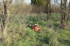 Migranti u Subotici