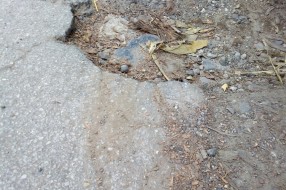 Pružni prelaz - Donji Tavankut