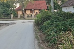 Zaklonjeni saobraćajni znakovi u Donjem Tavankutu