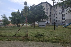 Nepokošena trava na igralištu na Karađorđevom putu