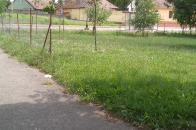Nepokošena trava na igralištu na Karađorđevom putu