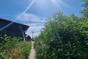 Nepokošena površina - nepregledna raskrsnica ulice Daruvarske na Bajskom putu