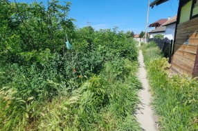 Nepokošena površina - nepregledna raskrsnica ulice Daruvarske na Bajskom putu