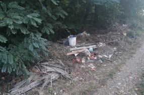 Mini deponija na Somborskoj pruzi