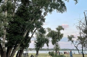 Loše stanje drveta na igralištu pored Palićkog jezera