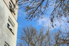 Orezivanje  grana i uklanjanje polomljenih opasnih po prolaznike - Segedinski put