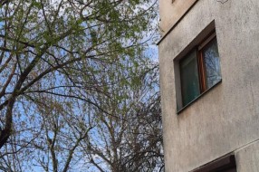 Orezivanje  grana i uklanjanje polomljenih opasnih po prolaznike - Segedinski put