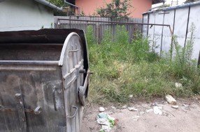Nepokošena trava u MZ Peščara