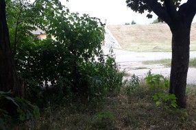 Nepokošena trava u MZ Peščara