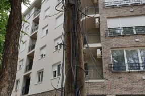 Ruglo od bandere