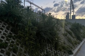 Korov svuda oko podvožnjaka