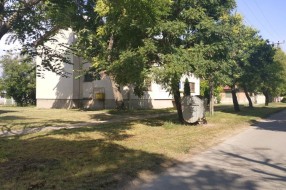 Neodnešeno posečeno granje i trava