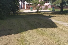 Neodnešeno posečeno granje i trava