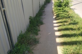 Zarastao trotoar (ugao ulica Sekereš Lasla i Frankopanske)