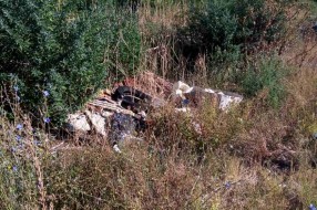 Deponija u turističkom delu Palića