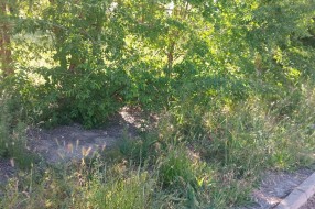 Neprohodna pešačka staza u Sarajevskoj ulici