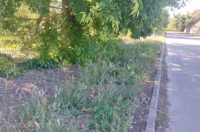 Neprohodna pešačka staza u Sarajevskoj ulici