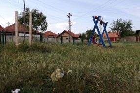 Ove godine trava raste - Igralište u M. Bajmoku