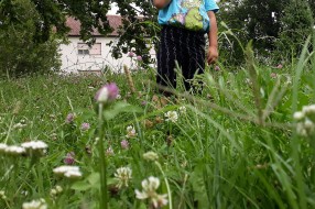 Zapušteno igralište u MZ Mali Radanovac