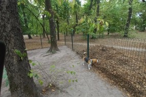 Česma u parku za pse neprestano teče