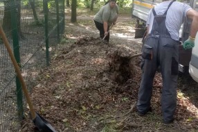 Česma u parku za pse neprestano teče