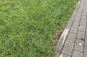 Uređenje parkića u Petefi Šandora