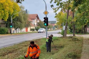 Trava i drveće na putu prema industrijskoj zoni