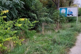 Trava i drveće na putu prema industrijskoj zoni