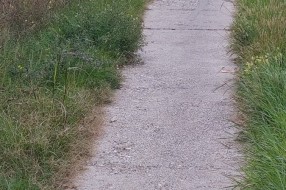 Trava i drveće na putu prema industrijskoj zoni