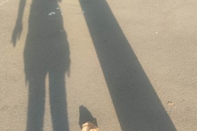 Javna higijena na glavnoj autobuskoj stanici